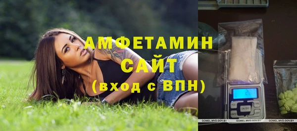 гидра Бронницы
