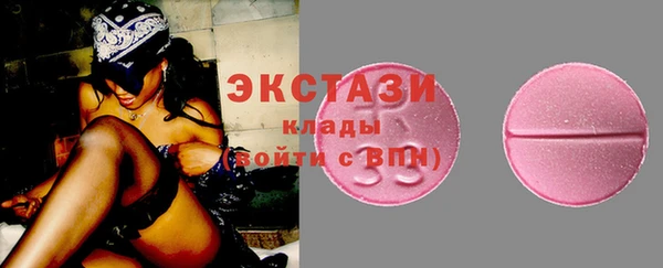 индика Бугульма