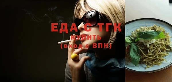 индика Бугульма