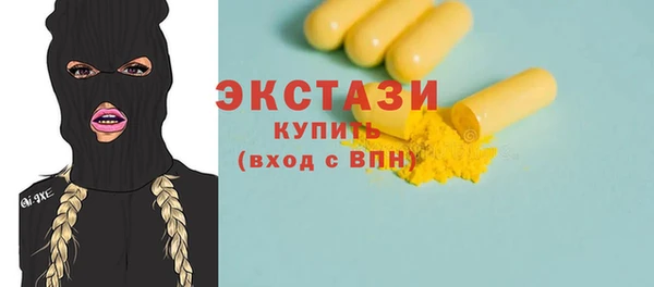индика Бугульма