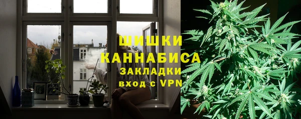 гидра Бронницы