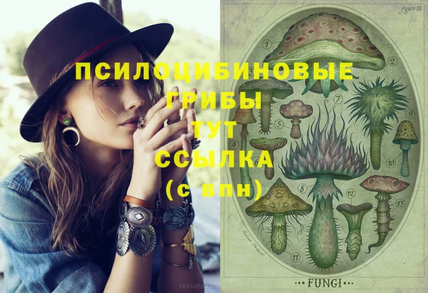 индика Бугульма