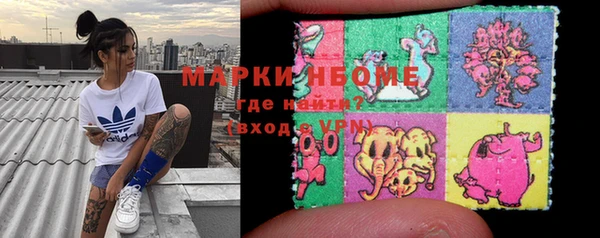 индика Бугульма
