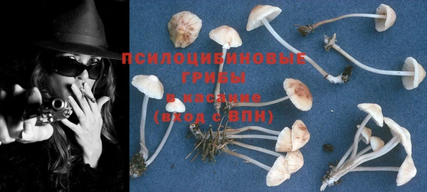 герыч Бородино