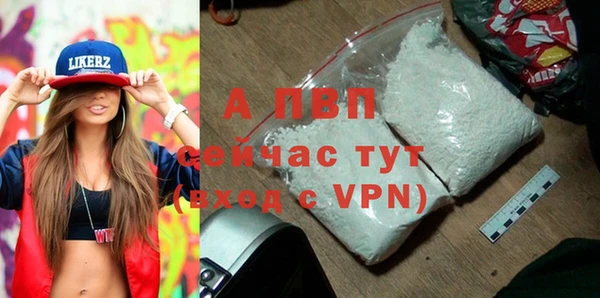 гидра Бронницы