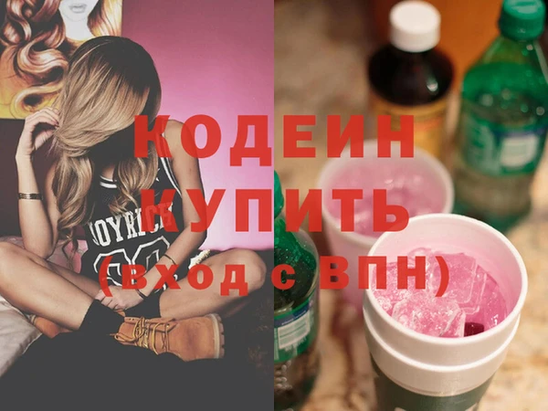 индика Бугульма