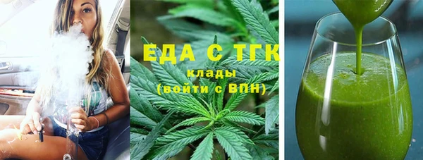 индика Бугульма