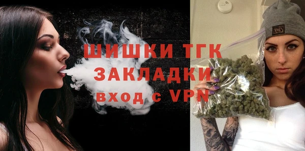 индика Бугульма