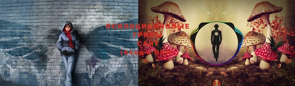 гидра Бронницы