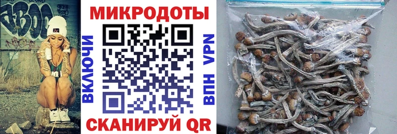 Галлюциногенные грибы MAGIC MUSHROOMS  Нефтеюганск 