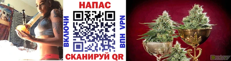 Бошки Шишки Amnesia  Нефтеюганск 
